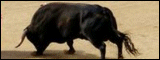 Spread Trading News Spread Trading