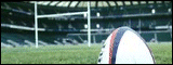 Rugby Spreads