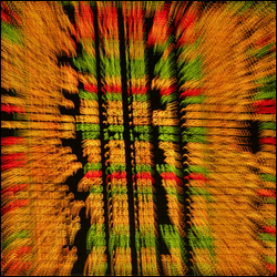 Trading Shares Trading Shares